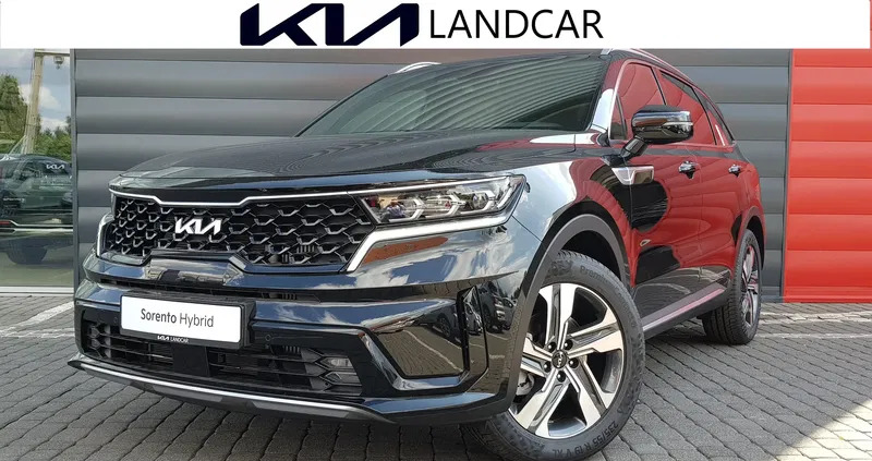 kia sorento łódzkie Kia Sorento cena 227500 przebieg: 10, rok produkcji 2023 z Łódź